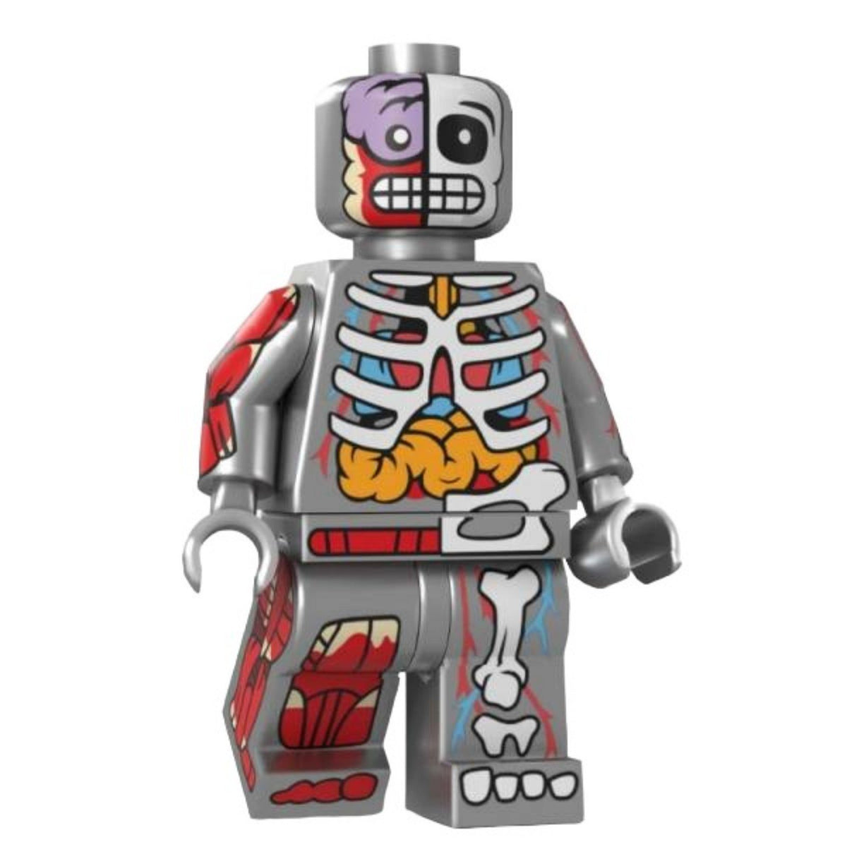 Silver Human Body / Anatomy LEGO compatible minifigure