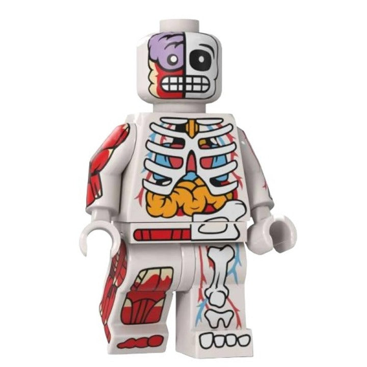 White Human Body / Anatomy / Skeleton / Minifigure / LEGO Compatible