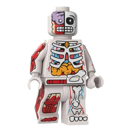 White Human Body / Anatomy / Skeleton / Minifigure / LEGO Compatible